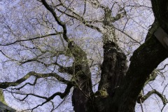 2019_002
